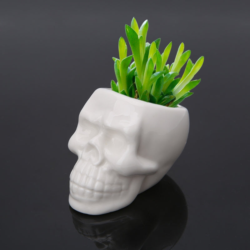 Skull I Pot/Planter