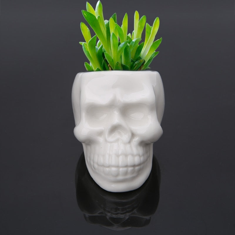 Skull I Pot/Planter
